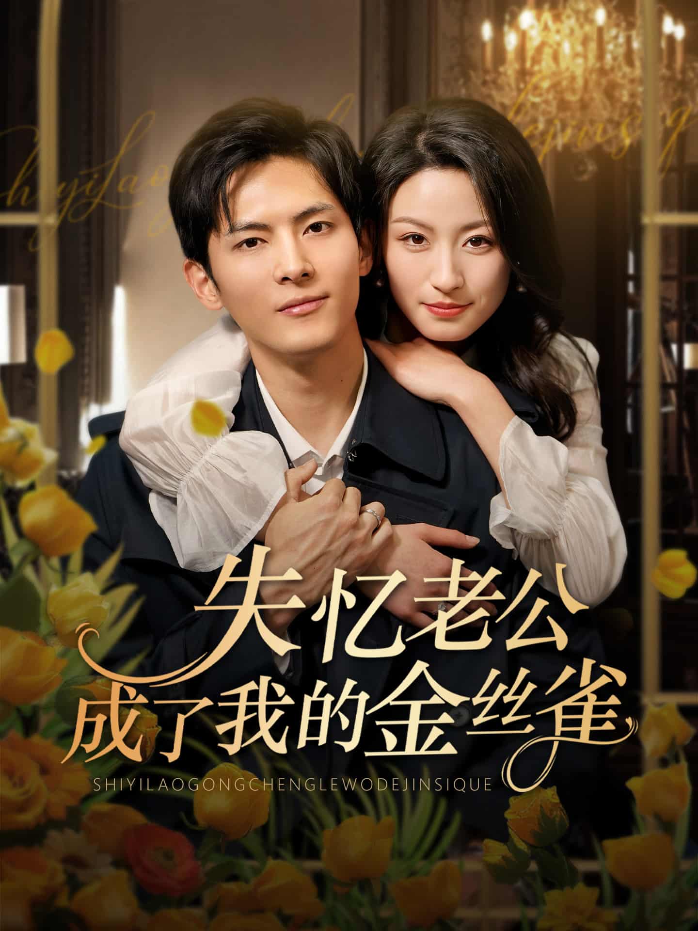 失忆老公成了我的金丝雀