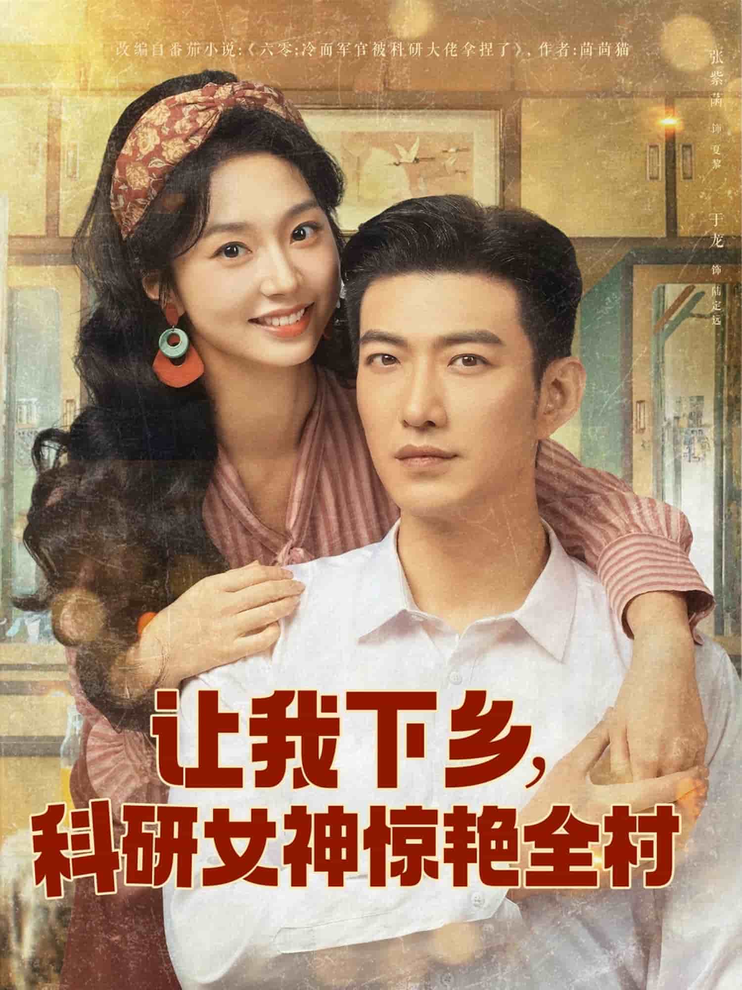 让我下乡科研女神惊艳全村海报