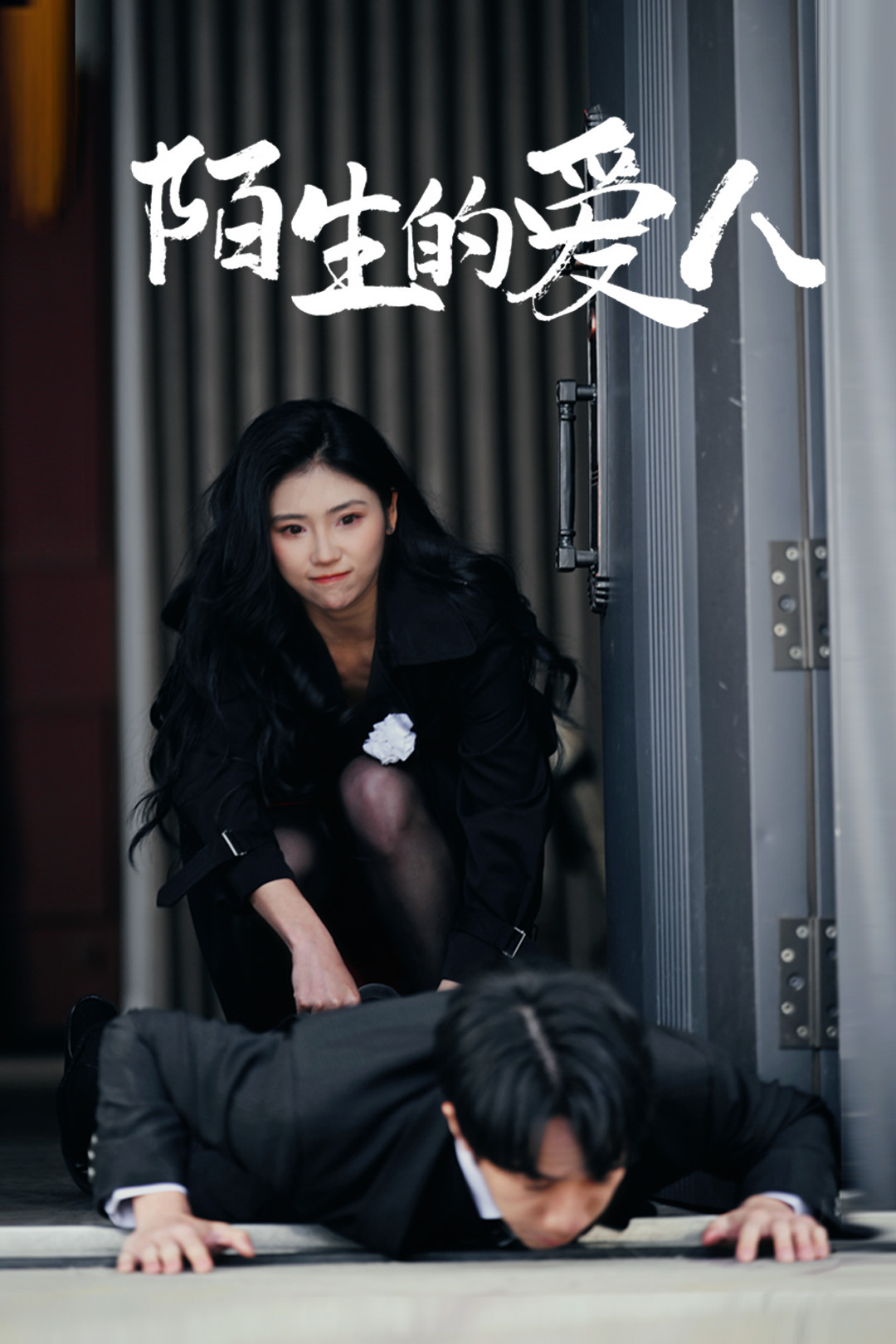 陌生的爱人