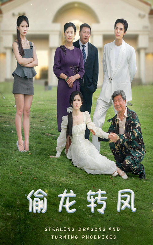 偷龙转凤 短剧版