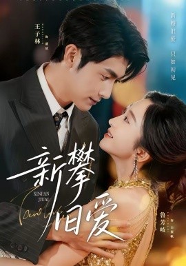 新攀旧爱
